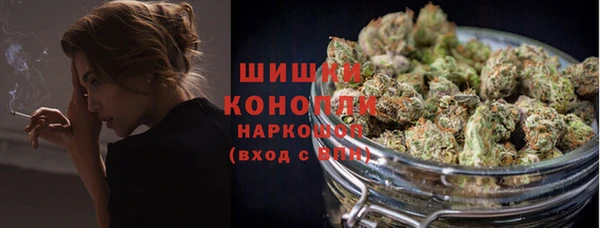 не бодяженный Горно-Алтайск