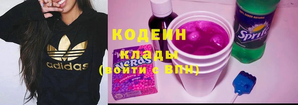 не бодяженный Горно-Алтайск