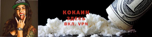 не бодяженный Горно-Алтайск