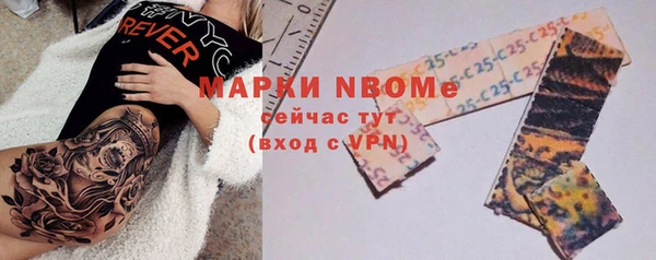 не бодяженный Горно-Алтайск
