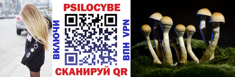 Купить закладки  Змеиногорск  Псилоцибиновые грибы Magic Shrooms 